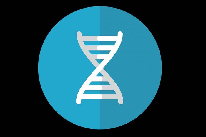 जेनेटिक म्युटेशन (Genetic Mutation) किंवा व्हेरिएंट होण्यासाठी एकाच वेळी अनेक गोष्टी असणे आवश्यक आहे. पेशी ज्यामधून एका पिढीची अनुवांशिक माहिती (Genetic Information) पुढील पिढीकडे हस्तांतरित केली जाते. त्या पेशींच्या डीएनएमध्ये बदल झाला पाहिजे. अल्ट्राव्हायोलेटच्या नुकसानीमुळे किंवा संपूर्ण क्रोमोसोममध्येच व्यत्यय येण्यामुळे डीएनए अनुक्रमाच्या एका अक्षरात हा बदल होऊ शकतो. अनुवांशिक सामग्री जी कॉपी करताना किंवा हस्तांतरणाच्या वेळी उद्भवते. (प्रतिकात्मक फोटो: पिक्साबे)