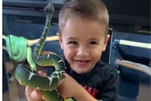 साप हातात घेऊन खेळू लागला लहान मुलगा अन्...; Shocking Video पाहून भडकले नेटकरी