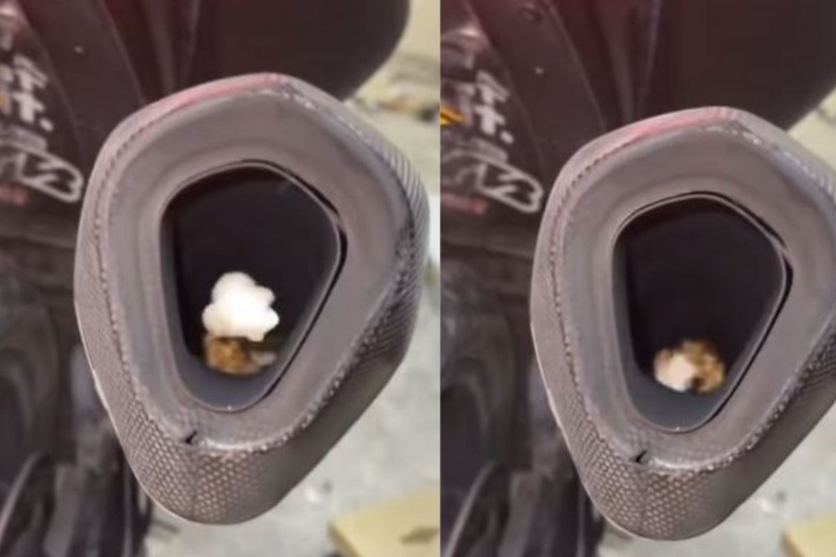 अरेच्चा! चक्क स्कूटीच्या सायलेन्सरमध्ये बनवले पॉपकॉर्न; VIDEO पाहून व्हाल अवाक