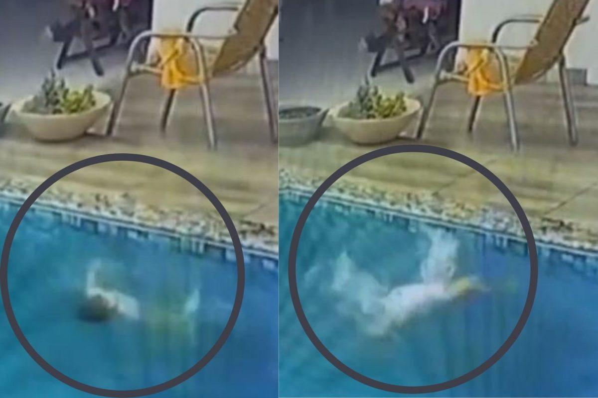 खेळता-खेळता स्विमिंग पुलमध्ये कोसळली चिमुकली अन्..; काळजाचा ठोका चुकवणारा VIDEO