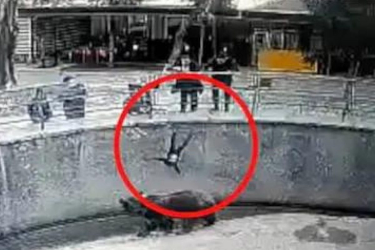 आईनं 3 वर्षाच्या मुलीला अस्वलासमोर फेकलं; धावतच चिमुकलीजवळ आला प्राणी अन्..., Shocking Video