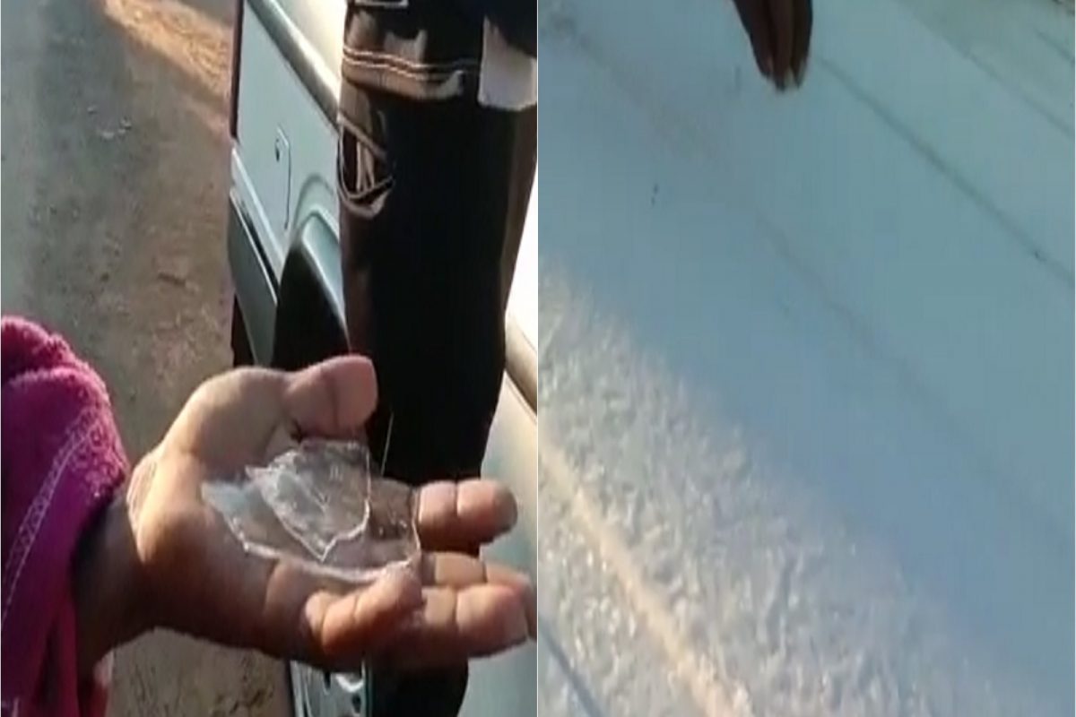 VIDEO: काश्मीर नाही तर हे आहे नंदुरबार, तापमानाचा पारा घसरल्याने पसरली बर्फाची चादर