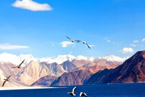 Pangong Lake | 3 इडियट्स चित्रपटात दिसलेलं पँगॉन्ग सरोवर चर्चेत का आलंय?