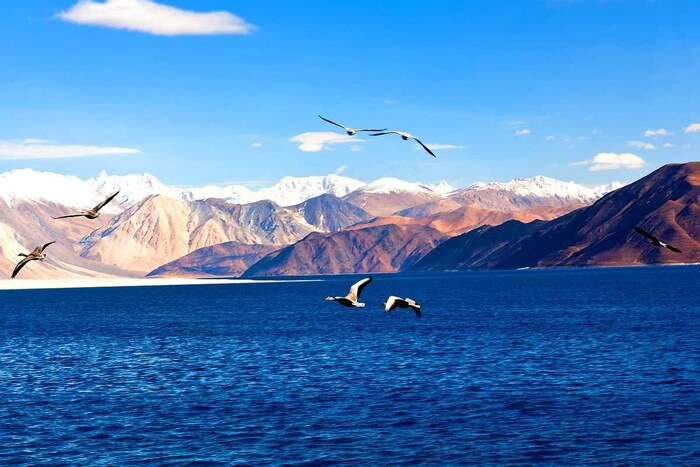 पँगॉन्ग लेक वादांमुळे नक्कीच चर्चेत आहे. पण ते एक उत्तम पर्यटन स्थळही आहे. येथे स्थलांतरित पक्ष्यांचे छावणी (Migratory Birds) असते. तलावाचे सर्वात मोठे आकर्षण म्हणजे त्याचा निळा रंग. जे तिचे सौंदर्य वाढवण्याचे काम करते. बॉलिवूड चित्रपट 3 इडियट्सचा क्लायमॅक्स येथे शूट करण्यात आलं. या चित्रपटामुळे या तलावाची लोकप्रियता खूप वाढली होती. (प्रतिकात्मक फोटो: शटरस्टॉक)