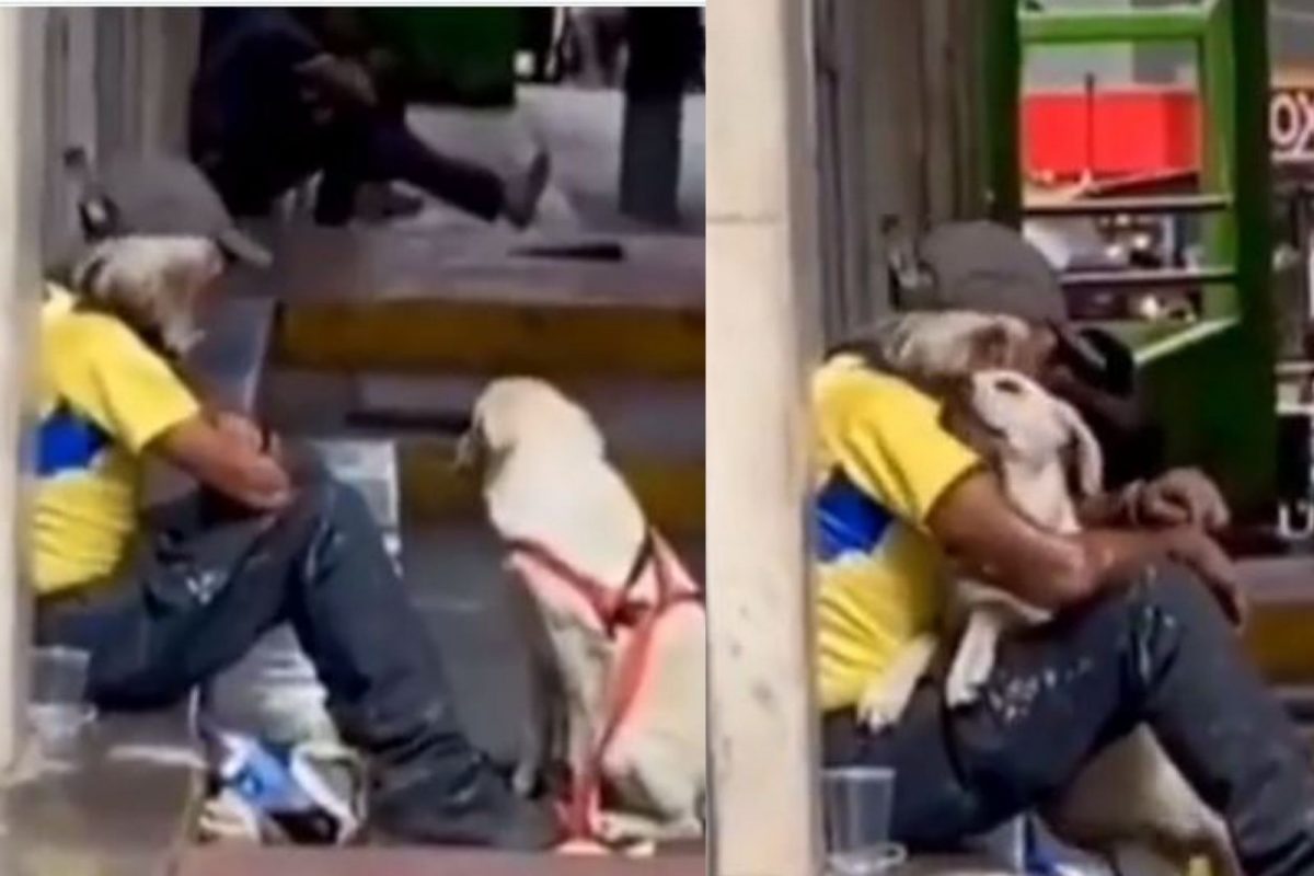 खरा मित्र! व्यक्तीचं दुःख पाहून श्वानाने मारली कडकडून मिठी; VIDEO पाहून तुम्हीही व्हाल भावुक