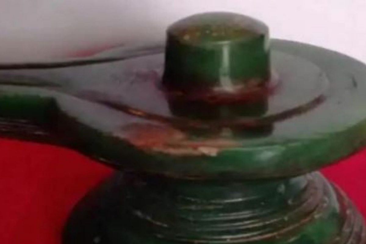 व्यावसायिकाच्या बँक लॉकरमध्ये आढळलं 1000 वर्षे जुनं शिवलिंग; किंमत जाणून व्हाल अवाक