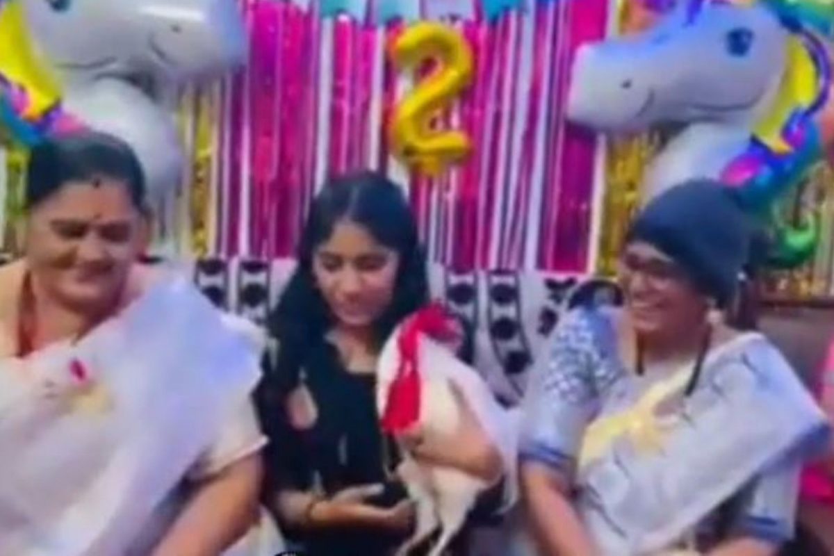 कोंबड्याचा शाही थाट! पाहुण्यांच्या उपस्थितीत कापला केक; अनोख्या वाढदिवासाचा VIDEO