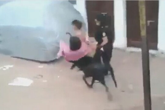 रस्त्यावरुन जाणाऱ्या तरुणीला शेळीने शिंगावर उचललं अन्...; हैराण करणारा  VIDEO