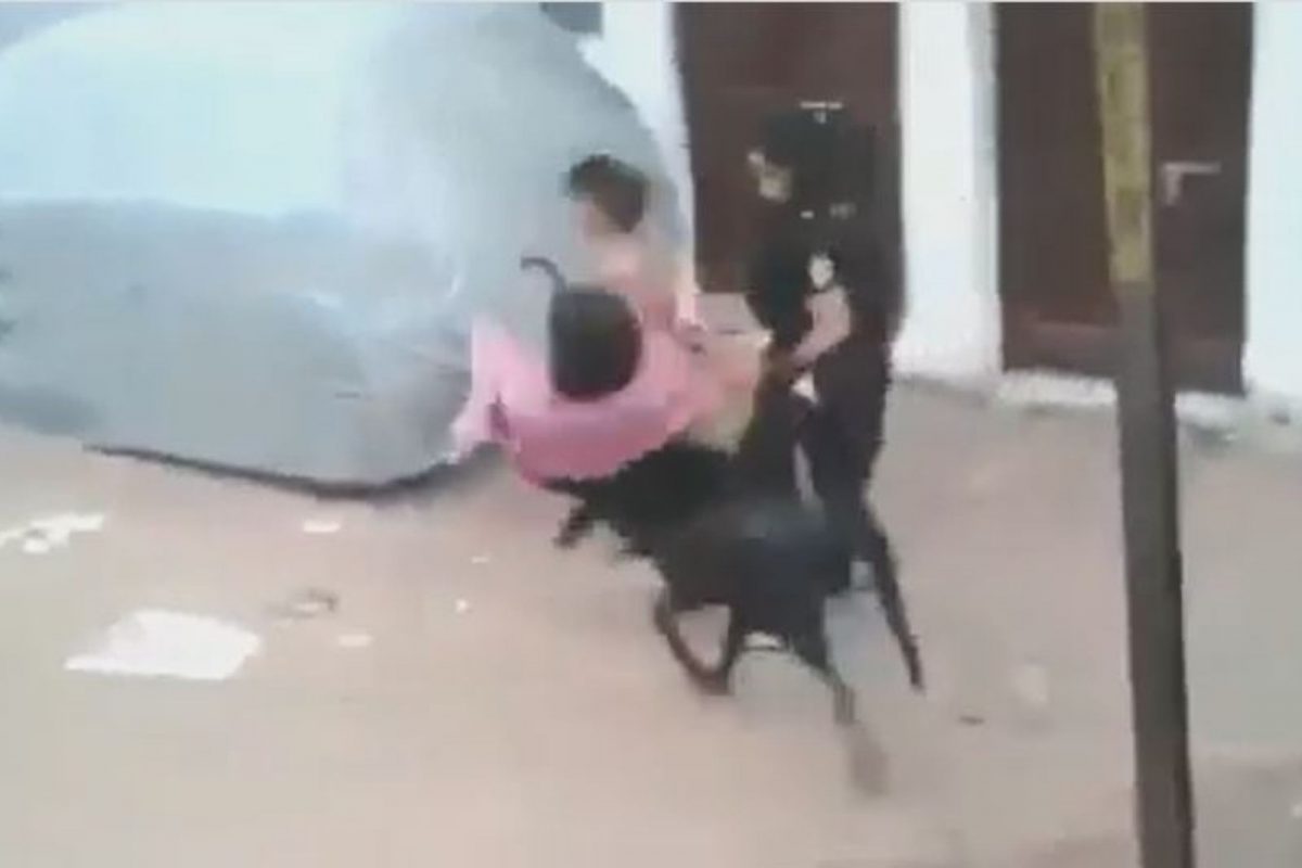 रस्त्यावरुन जाणाऱ्या तरुणीला शेळीने शिंगावर उचललं अन्...; हैराण करणारा VIDEO