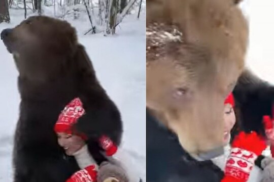 OMG! अस्वलाच्या मांडीवर बसून मस्ती करू लागली तरुणी; पाहा पुढे काय घडलं, VIDEO