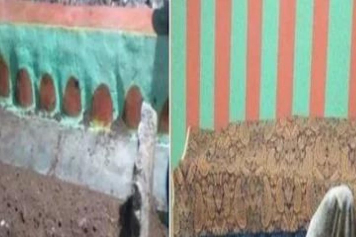 मुलगी पुन्हा जिवंत होण्याच्या आशेन आई-वडिलांचं धक्कादायक कृत्य; 2 महिने घरातच ठेवला मृतदेह अन्..