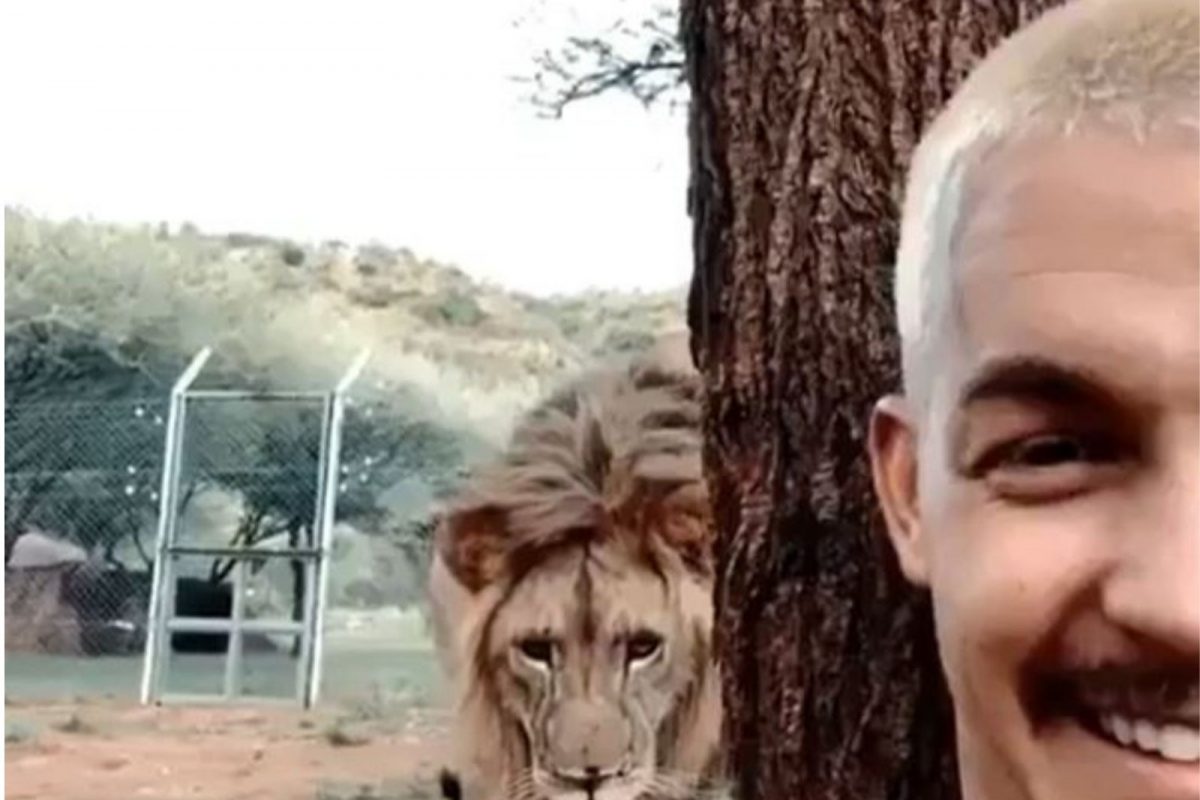 सेल्फी कॅमेरा ऑन करून व्हिडिओ काढत होता व्यक्ती; इतक्यात मागून सिंह आला अन्..., Shocking Video