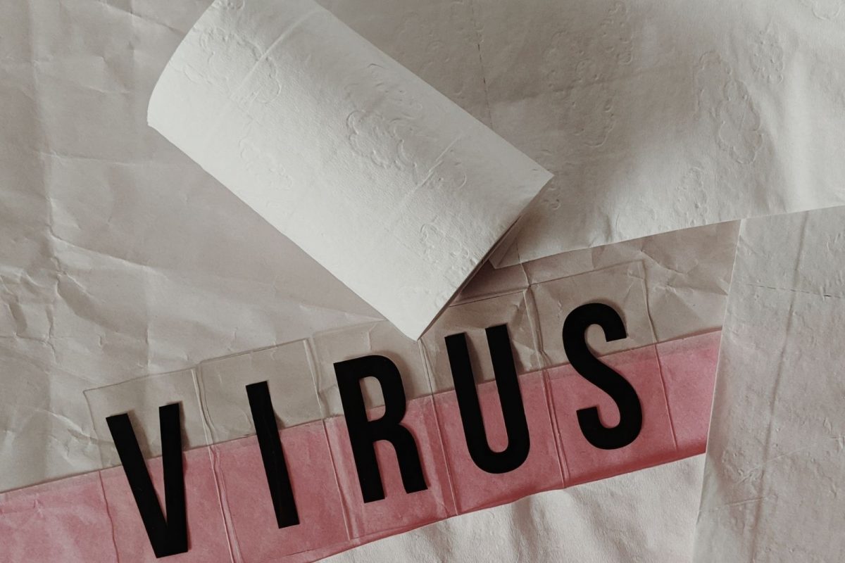 कोरोनानंतर आता आणखी एक जीवघेणा व्हायरस; इथं आढळला खतरनाक RHDV2