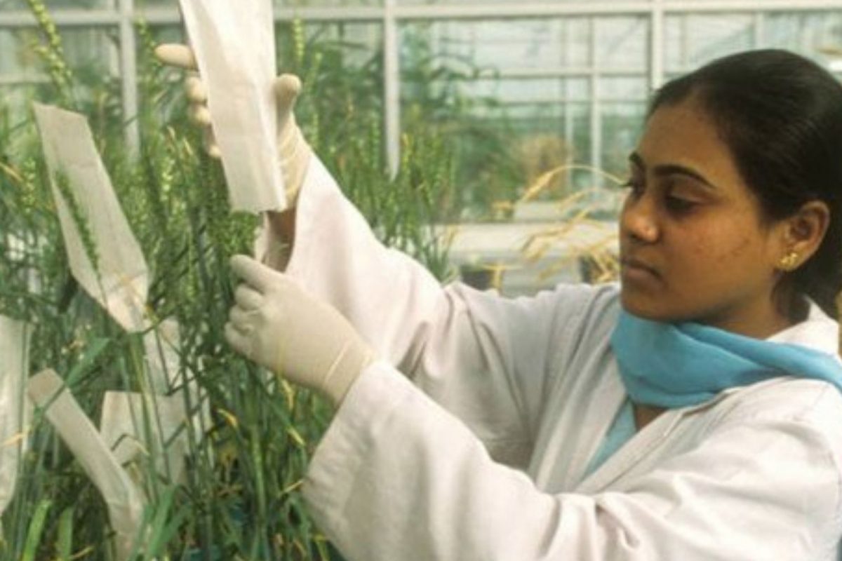 Agriculture Scientist कसं होता येईल जाणून घेउया
