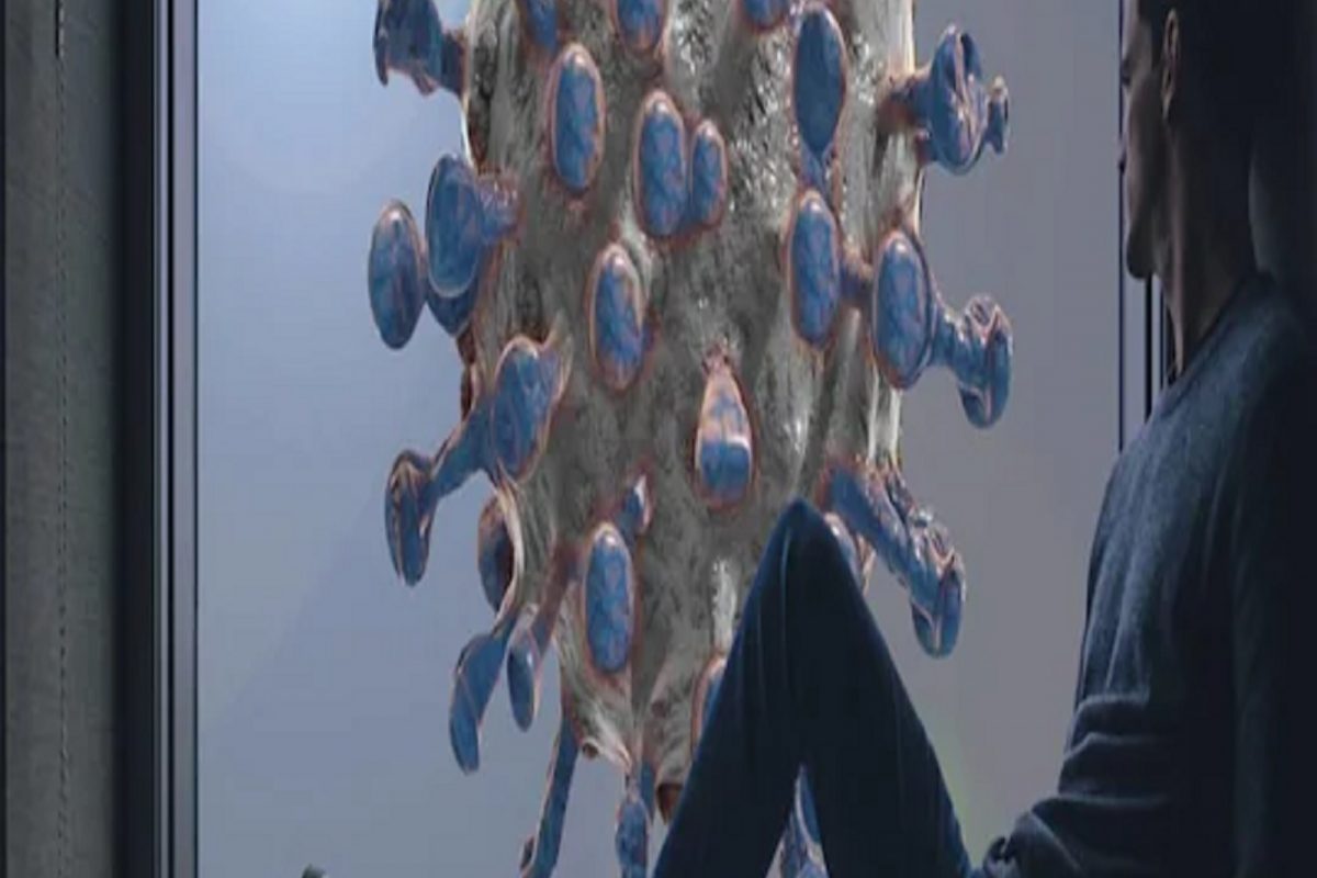 घरात सजावटीसाठी वापरलं जाणारं हे रोपटं कोरोनाचा करेल खात्मा; संशोधकांनी शोधला नवीन उपाय