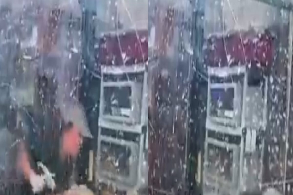 VIDEO - मगरीने केअरटेकरलाच पाण्यात फरफटत नेलं; पुढे जे घडलं ते पाहून अंगावर येईल काटा