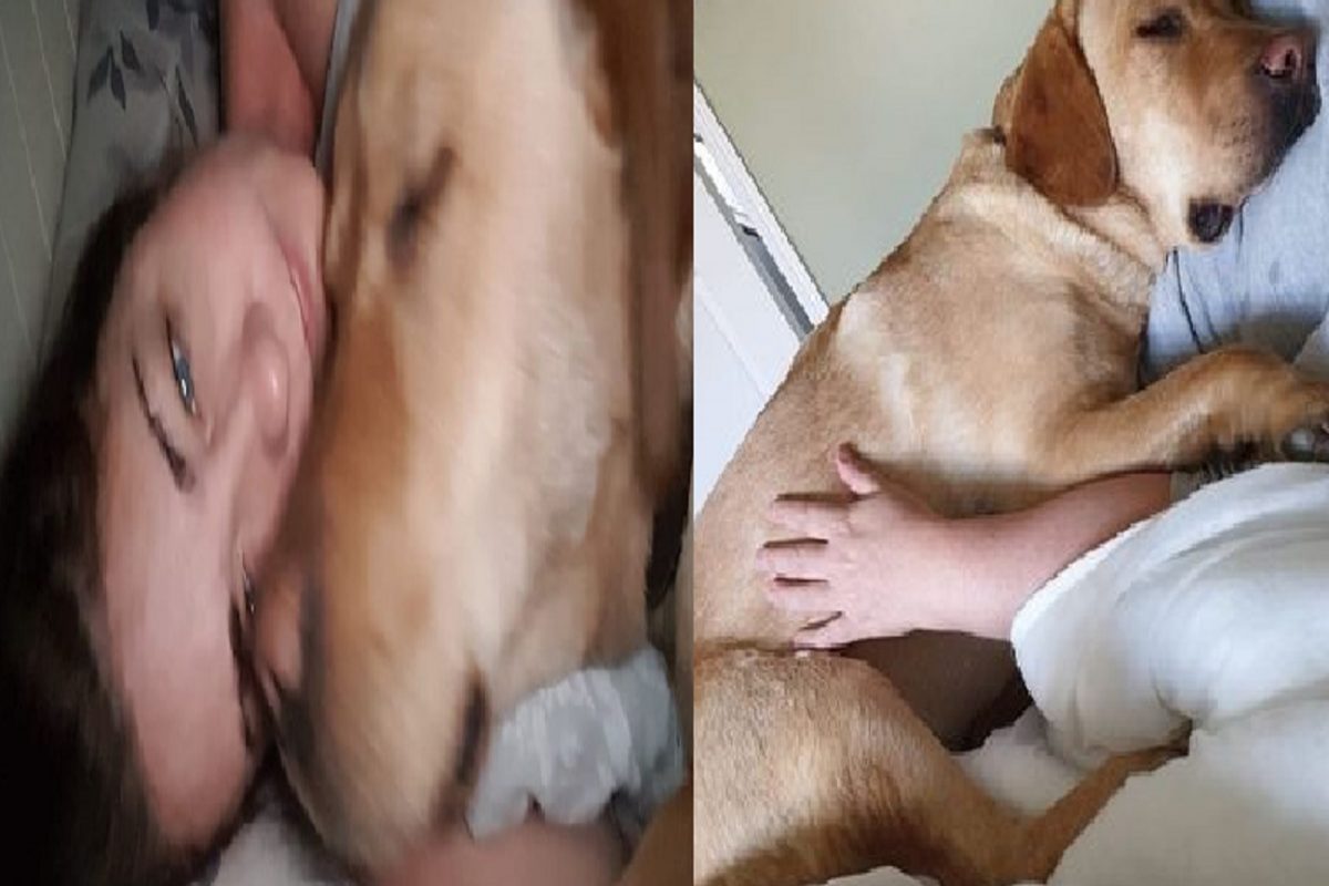 ब्रेस्टकडे पाहून पाळीव कुत्रा वारंवार करत होता इशारा; सत्य समजताच हादरली महिला