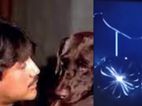 या 8 वर्षांच्या मुलाने शेजारी असलेली बॅट घेतली आणि TV वर फेकून मारली. यामुळे TV अक्षरश: फुटला. 