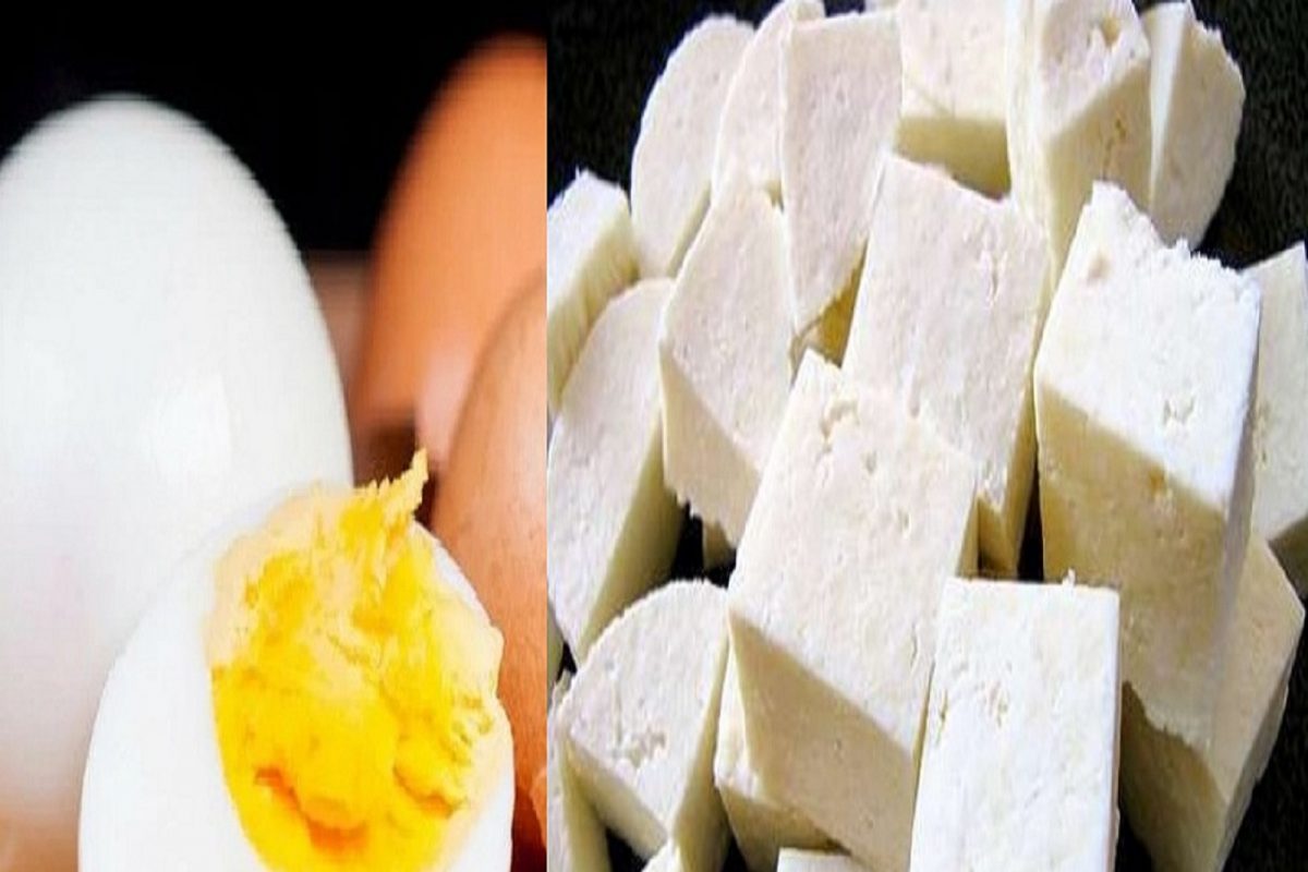 Weight Loss Tips: अंडी कि पनीर? वाढलेलं वजन कमी करण्यासाठी कशात असतात जास्त Protein