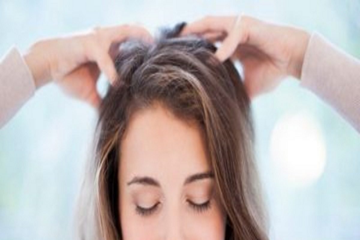 Best Oils For Hair: फक्त खोबरेल तेलच नाही, थंडीच्या दिवसात हे 5 तेल केसांना देतील संपूर्ण पोषण