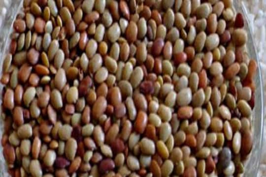 kulit Dal Benefits: कुळीथ डाळीला असते अनेकांची नापसंती; आरोग्यदायी फायदे समजल्यावर खायचे राहणार नाही
