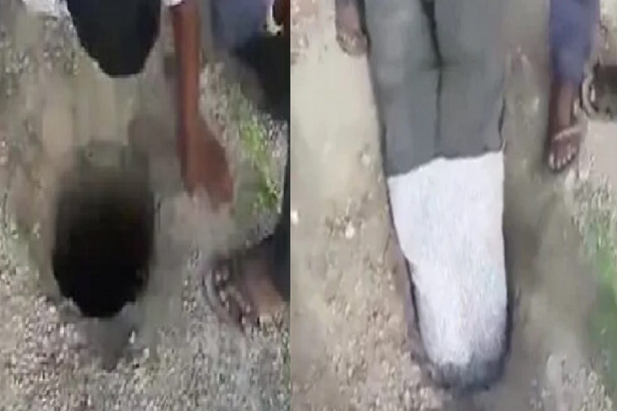 VIDEO - शेळीसाठी तरुणाने लावली आपल्या जीवाची बाजी; श्वास घेणंही मुश्किल अशा खड्ड्यात खोलवर गेला अखेर...