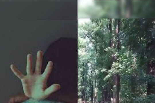 राजधानी हादरली! मंदिरात गेलेल्या 8 वर्षीय मुलीवर बलात्कार; नराधमाने जंगलात नेऊन दिल्या नरक यातना