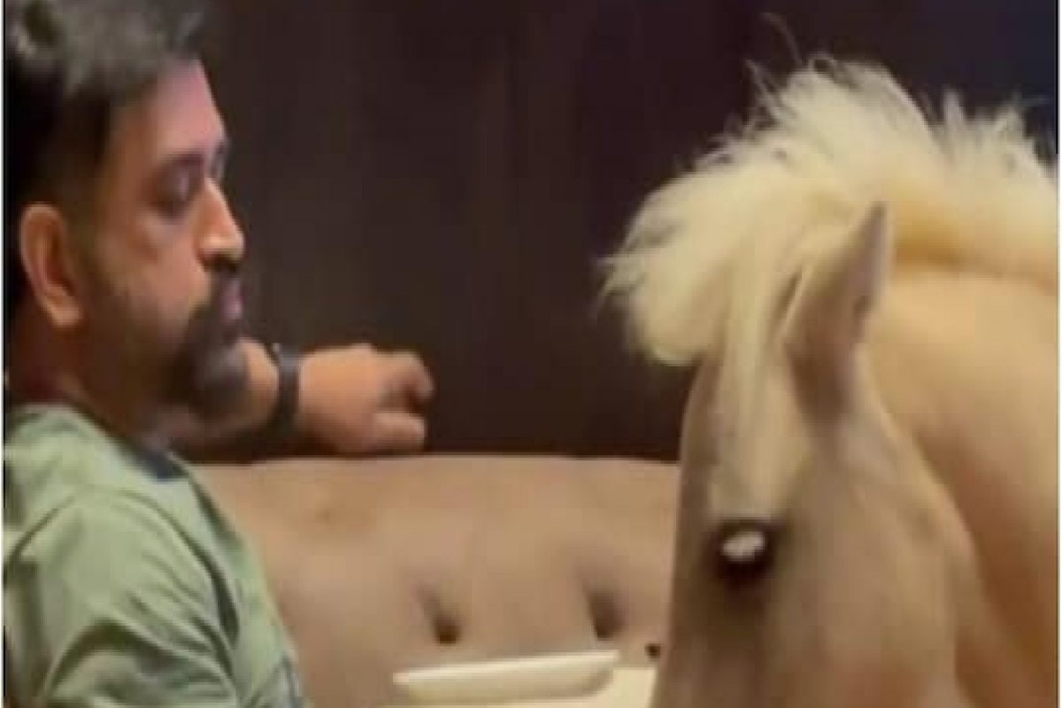 महेंद्रसिंह धोनी सध्या काय करतोय? साक्षीनं शेअर केला मजेदार VIDEO