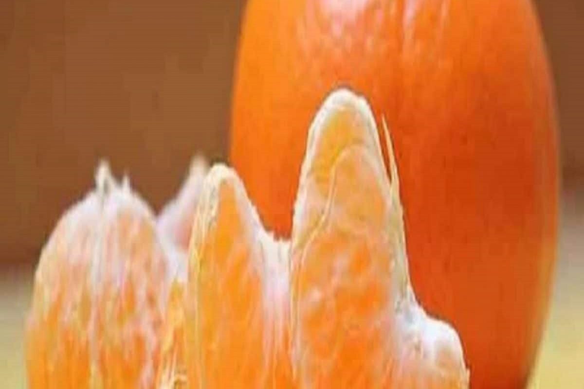 संत्रा:
संत्रा हा व्हिटॅमिन सीचा चांगला स्रोत मानला जातो. रोगप्रतिकारक शक्ती मजबूत करण्यासाठी संत्रा खाणे उपयुक्त ठरते. संत्रा शरीरातील पेशींना होणारे नुकसान टाळण्यासाठी प्रतिबंधित करतो. एक ग्लास संत्र्याच्या रसामध्ये 300 मिलीग्राम कॅल्शियम आढळते.