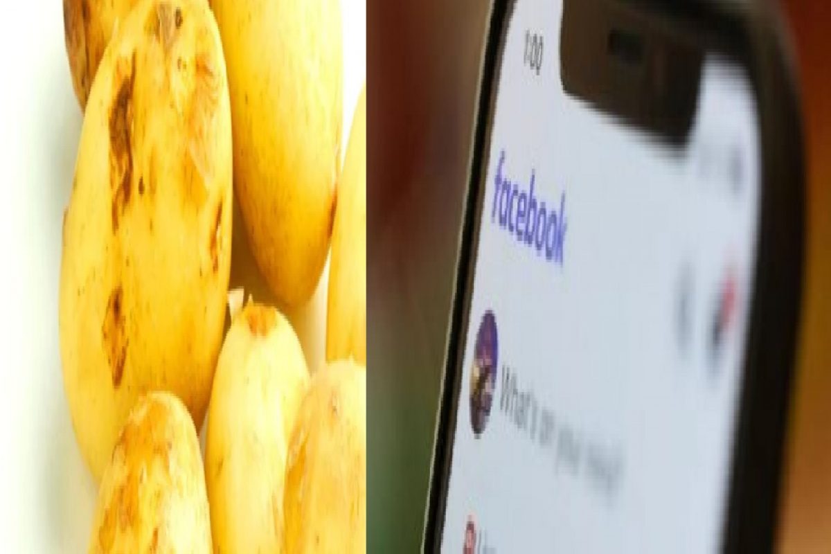 ऐकावं ते नवल! सोशल मीडियावर Potato बाबत कमेंट केल्याने झाला वांदा; महिलेला Facebook ने केलं बॅन