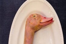 रेस्टोरंटने सर्व्ह केलं Stuffed Duck Neck, डिश पाहून ग्राहकाला बसला मोठा धक्का रेस्टोरंटने सर्व्ह केलं Stuffed Duck Neck, डिश पाहून ग्राहकाला बसला मोठा धक्का