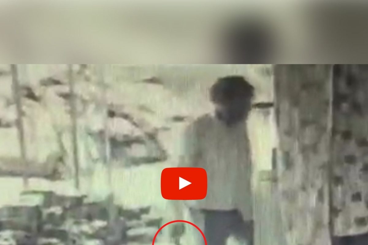 विरार हादरलं! संपत्तीच्या वादातून भावाने बहिणीवर केले कोयत्याने वार, घटनेचा LIVE VIDEO