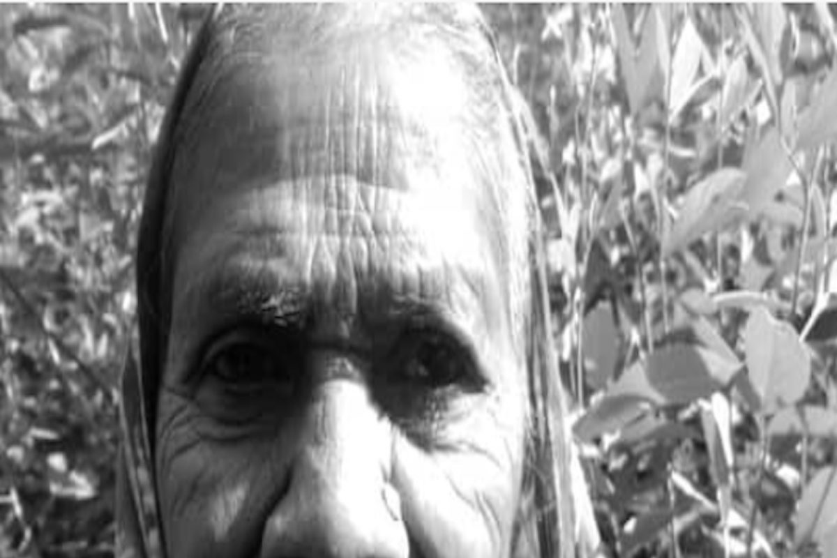 HumanStory: जन्मभर केली लाकूडतोड; सत्तरीत सुरू झालं नवं करिअर, पोहोचल्या इटली, फ्रान्समध्ये