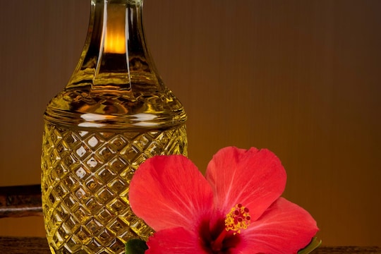 Hibiscus Oil : घनदाट-काळ्या केसांसाठी जास्वंदीचं तेल वापरून पाहा; कोंडा, केस गळतीवरही आहे फायदेशीर