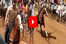 VIDEO: अमोल कोल्हेंची घोडीवर बसून बैलजोडीसमोर बारी, पाहा तुफान घोडेस्वारी VIDEO: अमोल कोल्हेंची घोडीवर बसून बैलजोडीसमोर बारी, पाहा तुफान घोडेस्वारी