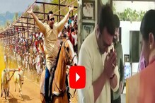 VIDEO"बाबा परत असं घोड्यावर बसायचं नाही"अमोल कोल्हेंना मित्राच्या आईने दिली तंबी VIDEO"बाबा परत असं घोड्यावर बसायचं नाही"अमोल कोल्हेंना मित्राच्या आईने दिली तंबी