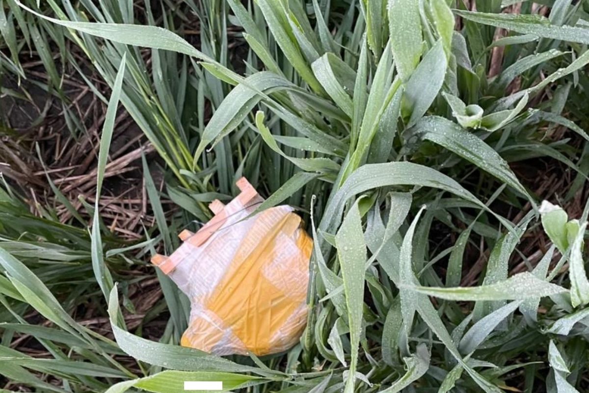 Drone drops bombs in Amritsar, flees to Pakistan after BSF opens fire