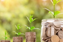 Pension Scheme: अटल पेन्शन योजना आणि NPS कडे लोकांचा कल वाढला