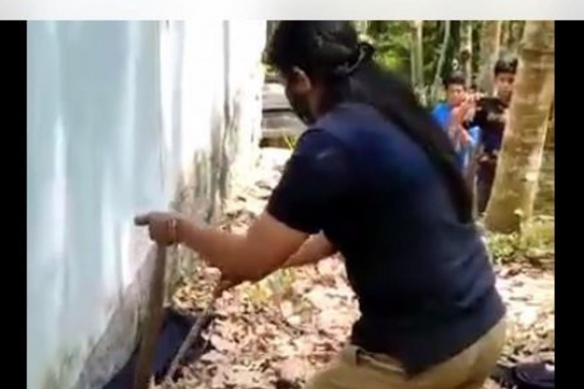 घातक सापाला पकडायला गेली महिला; अंगावर काटा आणणारा VIDEO VIRAL