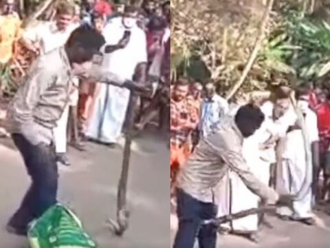 सोशल मीडियावर व्हायरल होणाऱ्या या व्हिडिओमध्ये केरळचे प्रसिद्ध सर्पमित्र वावा सुरेश दिसत आहेत. व्हिडिओमध्ये ते आपल्या हाताने कोब्रा साप पकडताना दिसतात. 