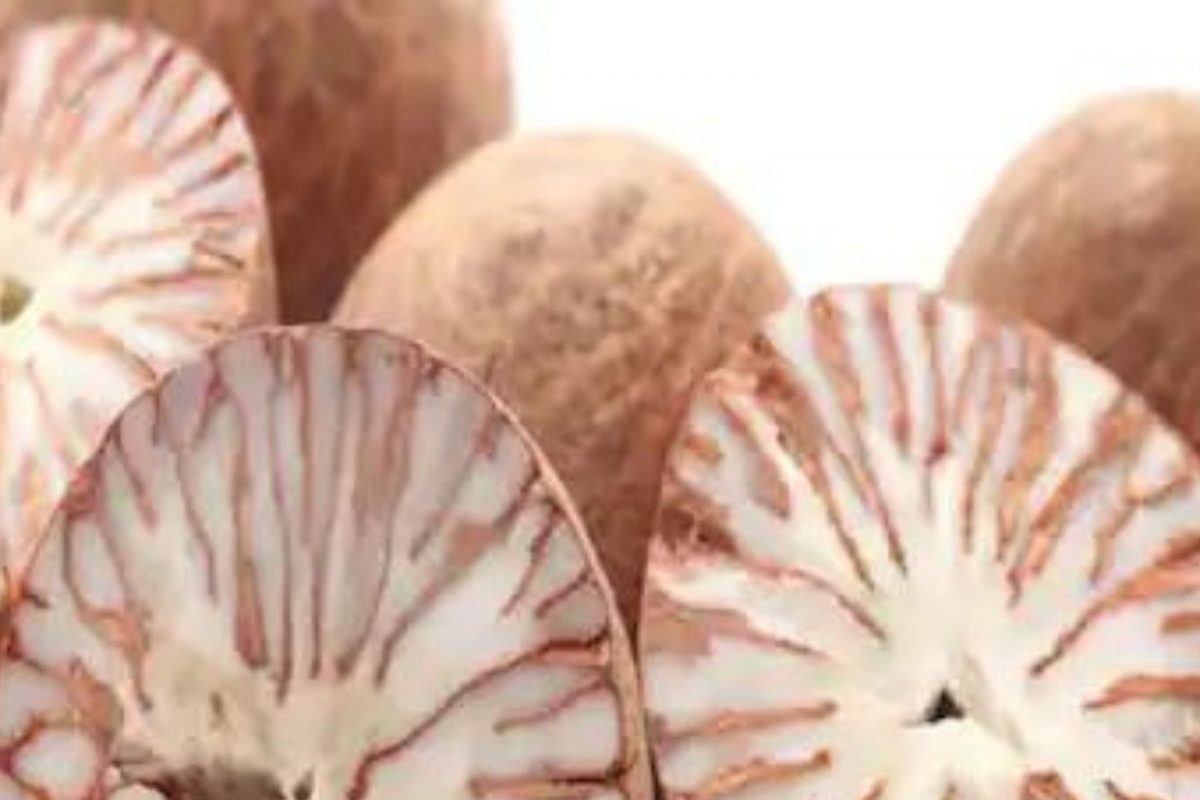 अंडरवर्ल्डमध्ये खून करण्यासाठी सुपारी शब्दाचा वापर का केला जातो? रंजक आहे यामागची कथा