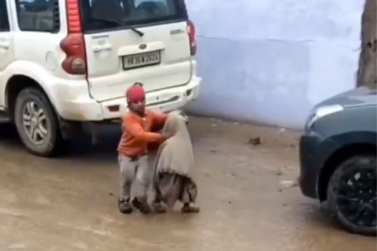 हल्ला करायला आला कुत्रा; लहान भावाला वाचवण्यासाठी चिमुकल्याने केलेलं काम पाहून वाटेल कौतुक, VIDEO