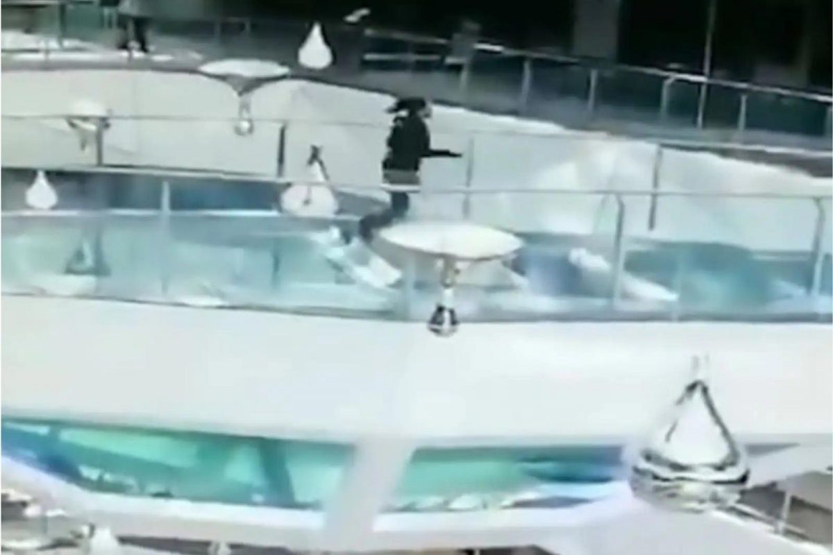 धक्कादायक! शार्क टँकमध्ये मांस फेकत होती महिला; तोल जाताच पाण्यात कोसळली अन्...