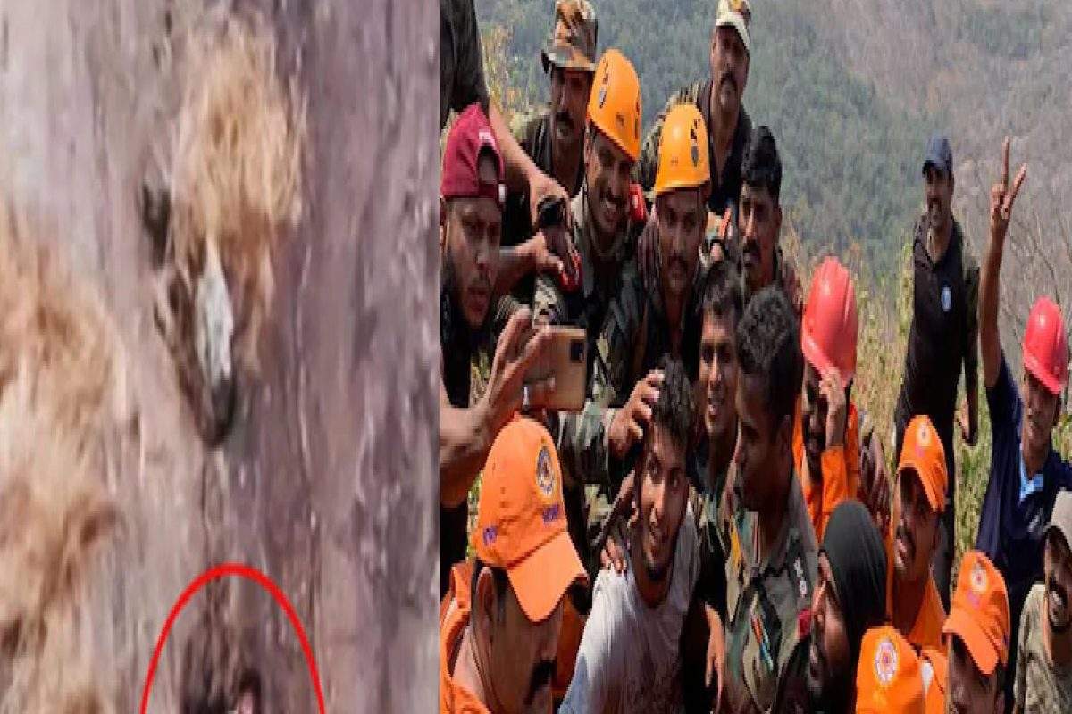 2 दिवसांपासून दरीत अडकलेल्या 'बाबू'ची सुटका, लष्कराच्या rescue operation थरारक Video