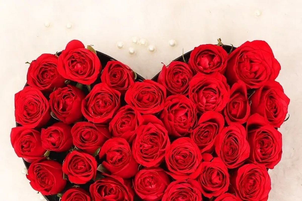 हनिमूनला गुलाबाच्या फुलांनी का सजवली जाते बेडरुम? Sexual Health साठी फायदेशीर