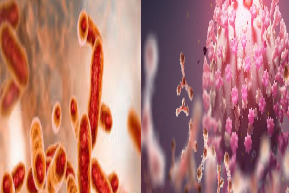 महाभयंकर Coronavirus वर भारी ठरले Bacteria; Covid शी लढण्याचा नवा मार्ग सापडला