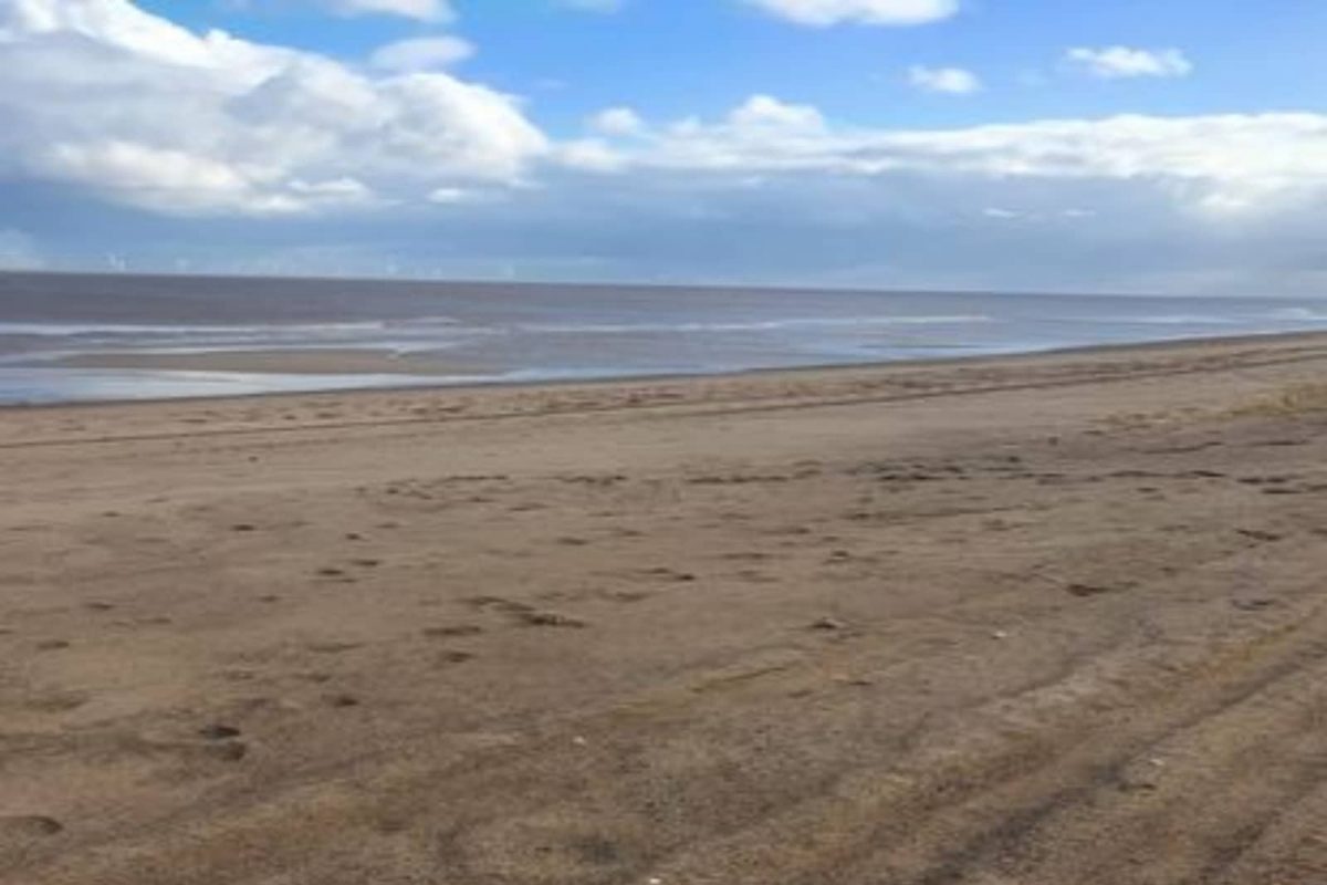 समुद्रकिनारी घर काय फक्त 50 लाख रुपयांत हा संपूर्ण Beach तुमचाच; पूर्ण करावी लागेल एक अट