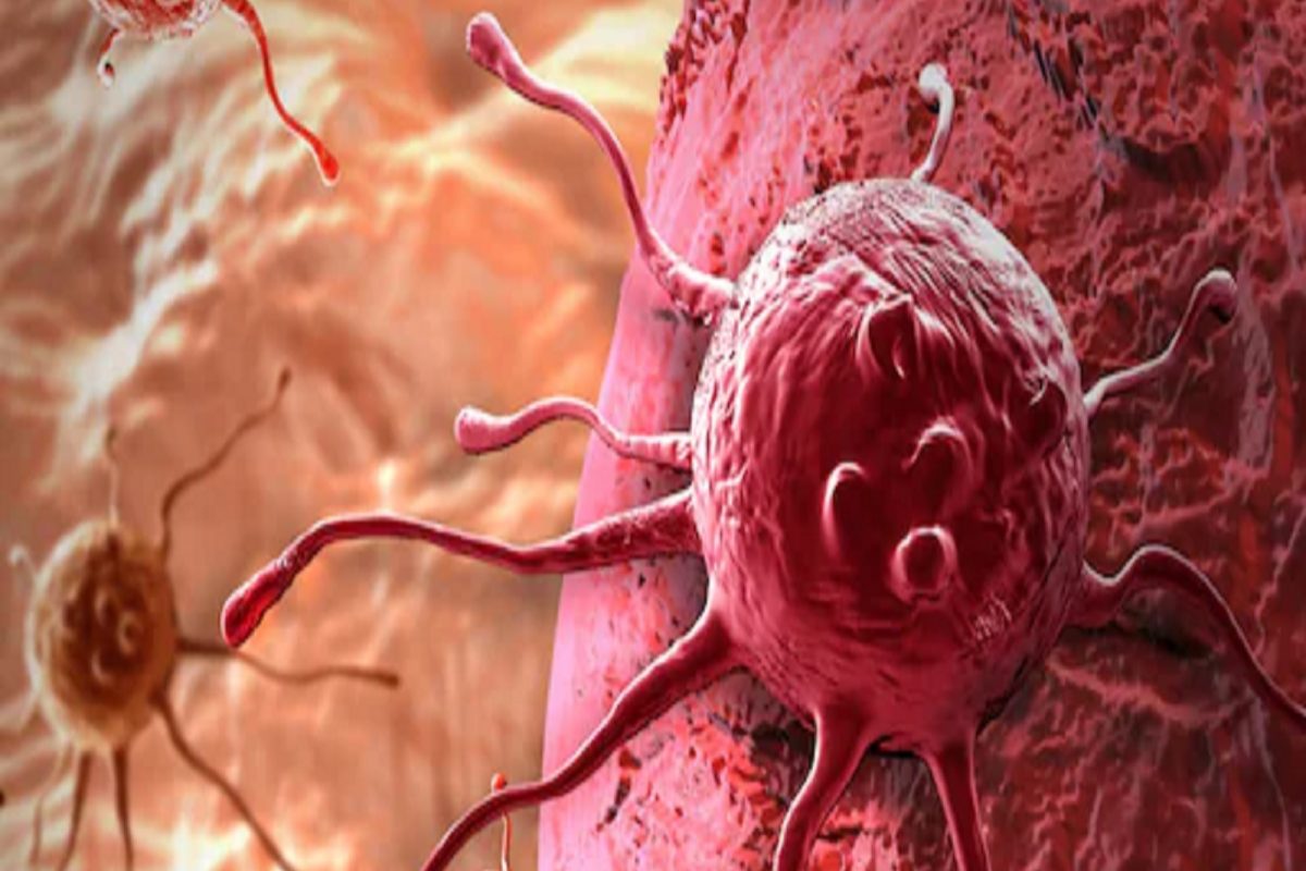 प्रतीकात्मक फोटो