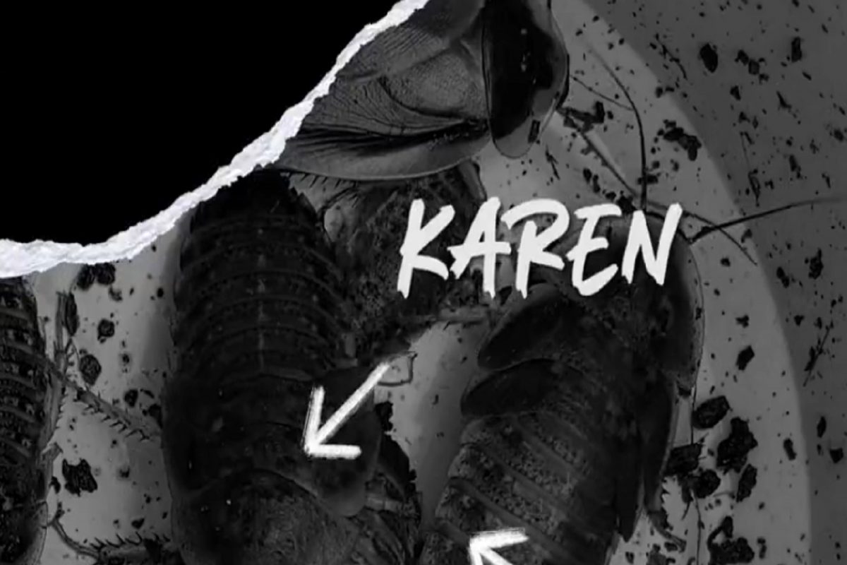 What an Idea! उंदीर, किडे अन् झुरळांना द्या EX चं नाव; त्यांना मोठ्या प्राण्याना खाताना बघत मिळवा समाधान