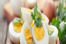 वजन कमी करण्यासाठी नाश्तात अंडी का खावीत? जाणकारांनी दिलं उत्तर